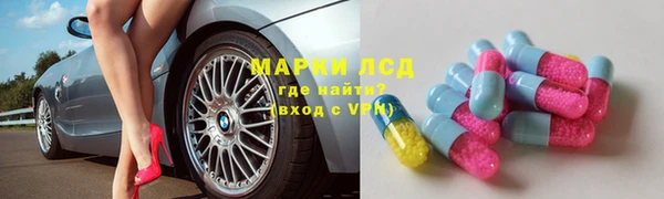 стаф Богданович