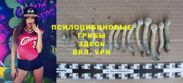 a pvp Белоозёрский